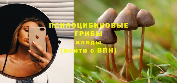 герыч Алексин