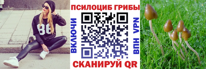 цена наркотик  Серафимович  Псилоцибиновые грибы Psilocybe 